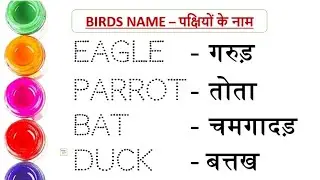 Birds name || पक्षियों के नाम || Birds name in hindi and english #study