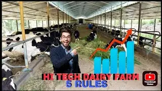 Hi tech dairy farm kese banaye|kese low budget me acha dairy farm kare|chote farm ko kese bada banay
