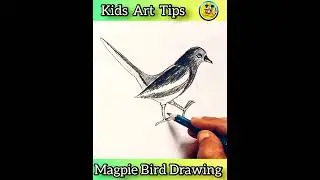 How To Draw Magpie Birds Step By step#shorts #youtubeshorts #shortfeed