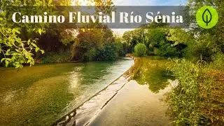 Paseando por el CAMINO FLUVIAL del RÍO SÉNIA en LA SÉNIA