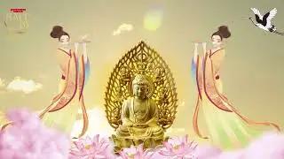 Beste Musik: Das Herz-Sutra, der Pfad zur inneren Ruhe und spiritueller Transformation
