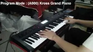 Korg Kross  Piano & EP.