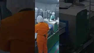 Dookoo Food Metal Detector for Cakes,Bakery Products.