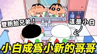 【蠟筆小新】小新竟然有哥哥了？小白變身野原白之助，兩人是雙胞胎！