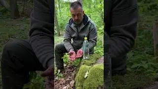 Survival Skills: Water Lifehack with Bottle and Straws. #survival #camping #lifehacks