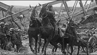 Les chevaux de guerre du Ranch Bar U