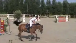 Picobello Kavallo Jump off Final 6 years old *sold*