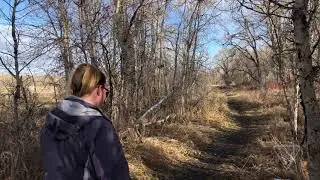 Sundance Lodge Recreation Area:  Moment In Nature