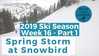 Spring Storm at Snowbird // Snowbird //  2018 - 2019 Ski Season (W17P1)