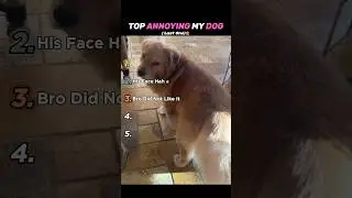 TOP ANNOYING MY DOG