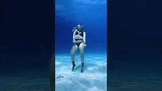 Bohemian WAPsody. 😂🧜&zwj;♀️ CrispyChallenge  WAP wapchallenge wapremix typeofconcert_R_R