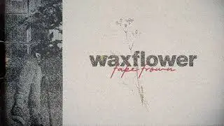 Waxflower - Fake Frown