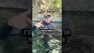 👀 Pourquoi les crocodiles ne sont pas tes amis…