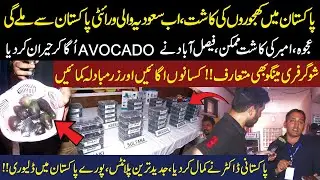Saudi Dates Now Grown in Pakistan! | Ajwa, Amber, Avocado & Sugar-Free Mango | Dr Nay Kama Kar Dia