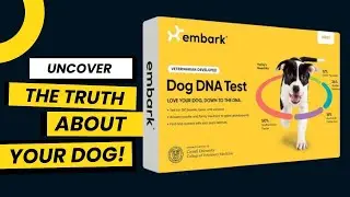 Embark Dog DNA Testing Kit Review | Best Pick for 2026
