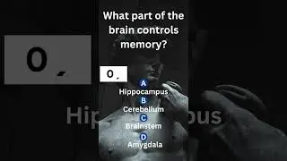 What Part of the Brain Controls Memory? | Quiz