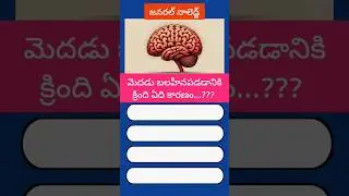 #మెదడు#అధికఒత్తిడి#BrainHealth#MentalHealth#StressFreeLife