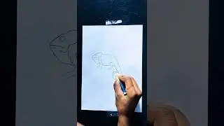 How do you#girgit drawing#art#short#video#2024🦎🦎🦎