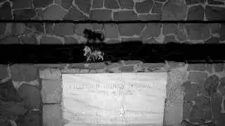 Killough Monument Bullard TX (Trigger Video)