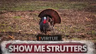 Missouri Gobbling Longbeards | The Virtue TV