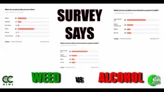 More People Say Alcohol Is Worse Than Weed &mdash; And the Stats Might Shock You 🍷🚬