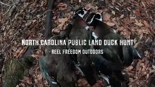 Limit of North Carolina Wood Ducks - 2025