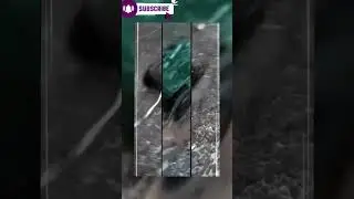 POWER FULL TANK STUNT #shorts#viral #tank#power #toys