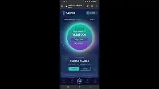Catly Token/ The Best WEB 3.0 Project/ Catly Token/ Top Catly Coin