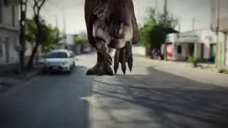 motion tracking [Cinema 4D & AE Test]