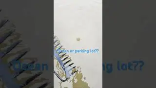 Ocean or parking lot?  Drainage issue!!  #flooded #like #comment #share #subscribe #h2o #flood