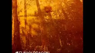 Funky Dragon - Drum n' Dance