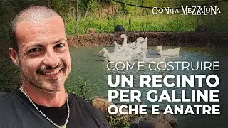 HO PROVATO gli ALLEVAMENTI AMERICANI - Da Zero