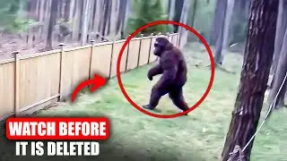 1 Hour Of The Most TERRIFYING Bigfoot Encounters Caught On Camera