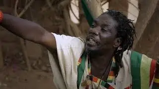 Hima HADO  Natty Dread HD