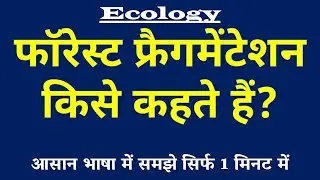 Forest Fragmentation (फॉरेस्ट फ्रैगमेंटेशन) किसे कहते हैं? | Habitat Loss Effects 🪓