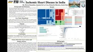 India Health Status Poster IDS3183 I FIU Fall 2022