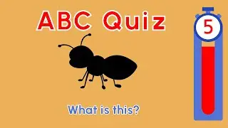 Alphabet Quiz 2 / ABC Quiz 2/ A to Z 단어 게임 / 알파벳 단어 게임