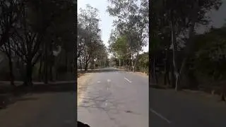 Shahdol To Budhar | bike travelling | Bike Racing Speed