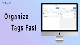 How to Organize & Manage YouTube Tags Efficiently with TubeNxt