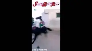 SBR in a nutshell
