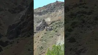 Gold Veins of America (TOP 10) - #9 Elko County NV #ElkoGoldVeins #NevadaHardrockGold #VeinSwarmgold