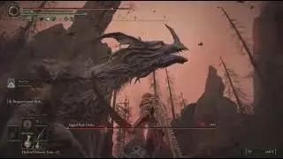 ELDEN RING Jagged Peak Drake and Lesser Dragon