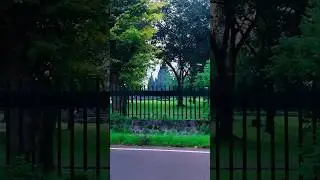 PENAMPAKAN DUA CANDI #candiplaosan #candiprambanan #videoshorts