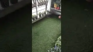 #garden #farming #nature #nature #save