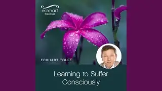 Conscious Suffering