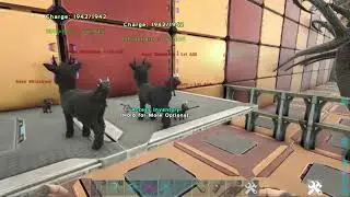 Mammoth Breeding & Shinehorn Mutations? Ark:Crystal Isles S1E28