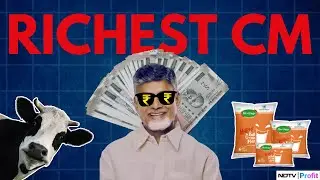 Shares Of This Company Made Chandrababu Naidu India's Richest CM, Worth Rs 931 Crore