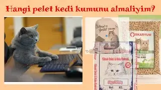 çam pelet kedi kumu nasıl temizlenir?