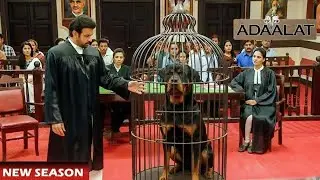 जंगली कुत्ता बना सबसे बड़ा सबूत KD Pathak ने खोल दिया चौंकाने वाला सच | Adalat Latest Episodes