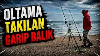 Şile Sahilköy'deki kamp ve  kıyıdan  balık avı ...🎣 balık avı avlak yerleri  ..